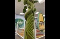 Thumbnail for gallery item 10