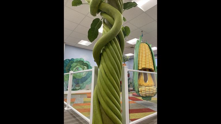 Garden beanstalk