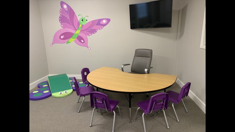Garden butterfly class