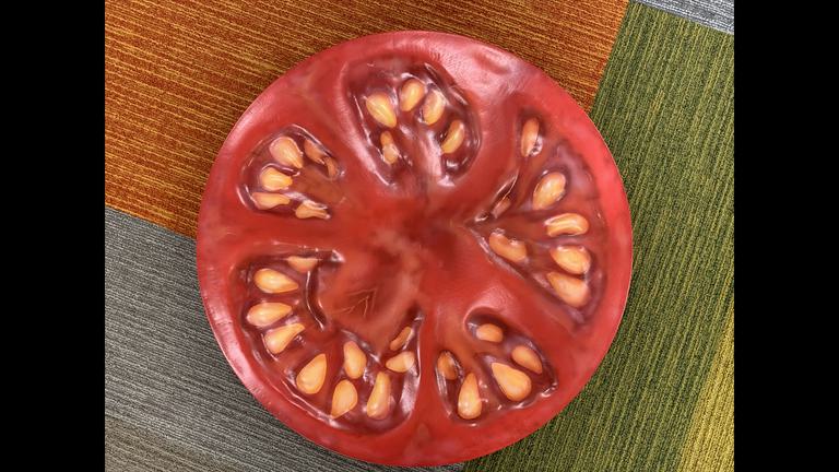 Garden tomato