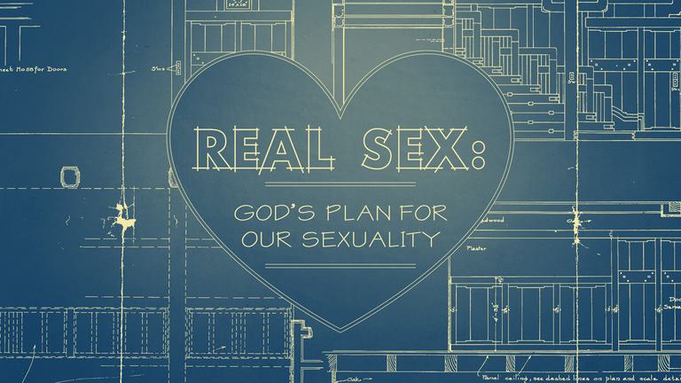 Real Sex title 2