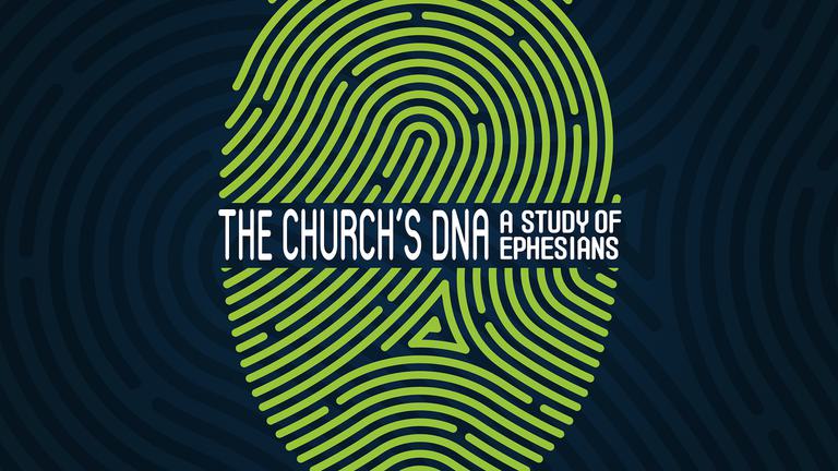 The Churchs DNA Summer2022 Sun Night Series title